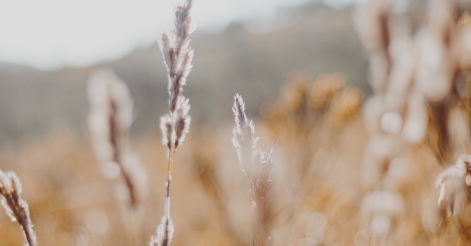 Relationship Counselling in Victoria: How It Helps You Reconnect and Heal