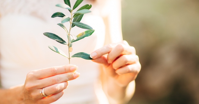 Relationship Counselling in Victoria: How It Helps You Reconnect and Heal