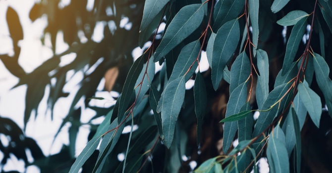 Relationship Counselling in Victoria: How It Helps You Reconnect and Heal