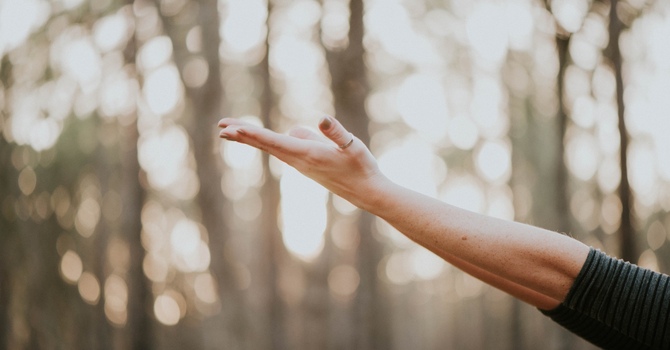 Relationship Counselling in Victoria: How It Helps You Reconnect and Heal